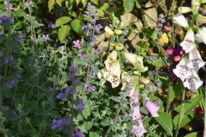 B&B / Chambres d'hotes La villa 13&15 : photos des chambres