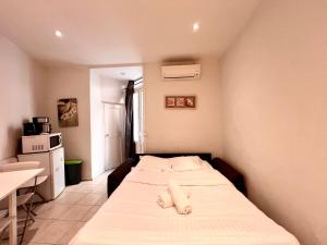 A043-Functional Studio Downtown Cannes