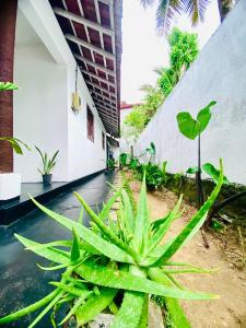 The White Villa
