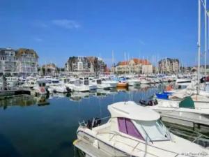 Appartements Bel appartement en plein centre de Cabourg : photos des chambres