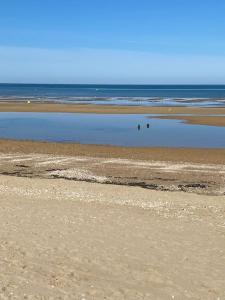 Appartements Bel appartement en plein centre de Cabourg : photos des chambres