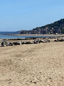 Appartements Bel appartement en plein centre de Cabourg : photos des chambres