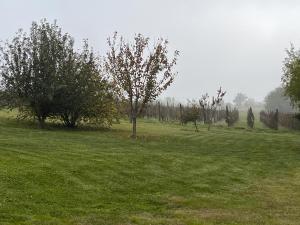 Al Vigneto