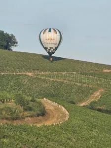 Le Saint Vincent - Bleigny-le-Carreau