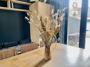 Appartements Maison 43 : photos des chambres
