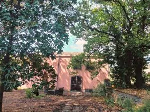 Antico Palmento - Milo