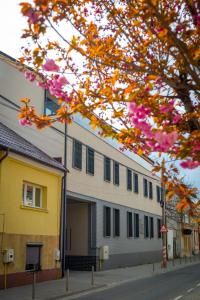 H11 Downtown Apartments