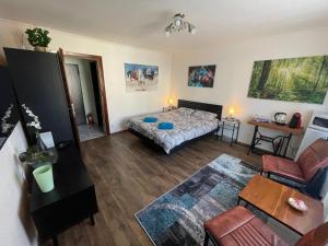 Alio Room Campulung Moldovenesc