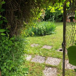 Maisons de vacances La Causeuse : photos des chambres