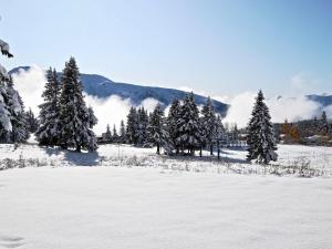 Appartements Studio cabine a Chamrousse avec balcon, pour 4 pers, cuisine equipee - FR-1-340-284 : photos des chambres