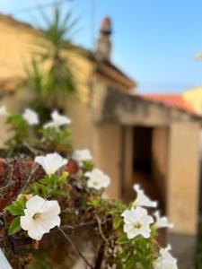 Mono Relax - Borgo Medioevale Petruro Irpino AV