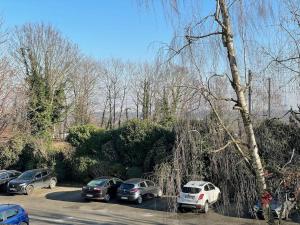 Appartements Au Milieu des Arbres : photos des chambres