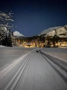 Hemsedal Mountain Retreat - Torset