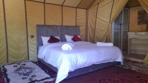 Luxury trek desert camp