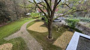 Klimaanlage, 5 Sterne Villa Bahnhoftraum, 333 qm, 1200qm Garten, virtueller Rundgang, Dachterrasse, Whirlpoolbadewanne