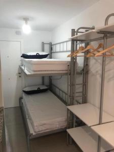 Sierra Nevada Premium