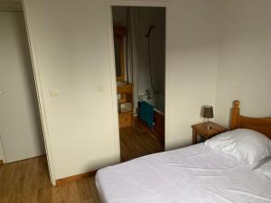 Appartement dans Résidence Bois de la Reine, Besse et Saint Anastaise