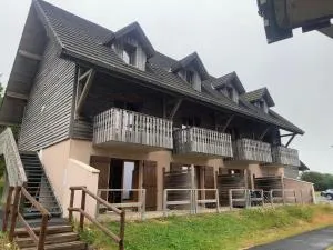Appartement dans Résidence Bois de la Reine, Besse et Saint Anastaise - Vassivière
