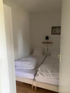 Appartements Appartement dans Residence Bois de la Reine, Besse et Saint Anastaise : photos des chambres