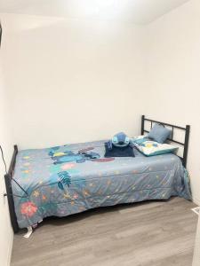 The Pink House of Celebration