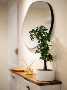 Appartement proche Paris Disneyland et Parking gratuit