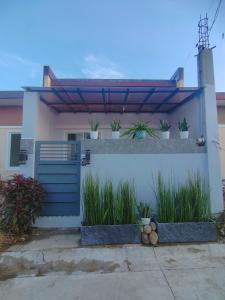 Balai De Provincia - By Zools