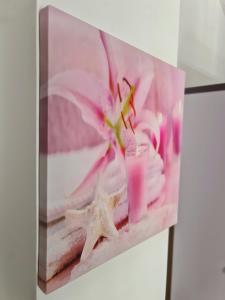 Maja V Apartmani Sokobanja