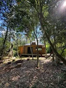 Cabaña del bosque en La Barra - 圣卡洛斯