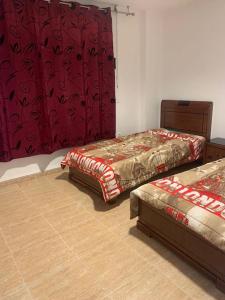 Appartement Bejaia centre Ville vue sur gouraya