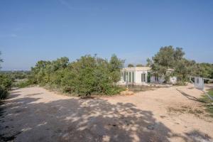 Chalet dimora tra gli ulivi