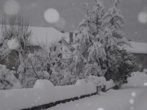 Apartaments El Ribal