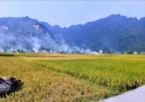 mai chau rice fields homestay