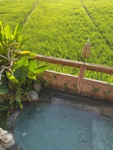 Aditara Sebatu Villa
