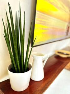 The Sandbar Villa at Sunset Stays