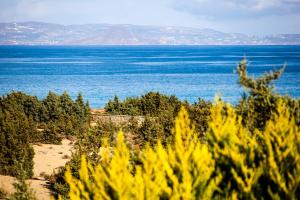 Villa Alyko Naxos Greece