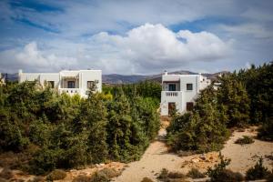 Villa Alyko Naxos Greece