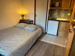 Charmant studio sud, 4 pers, balcon à Valloire - FR-1-263-541