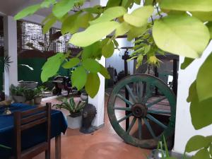 Banana guest house