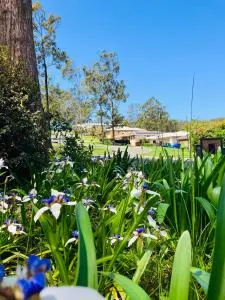 Tranquillity on Point - Yarras