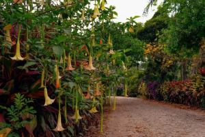 Hotel Boutique Casona del Cafetal and Lakeside Restaurant