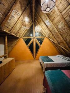 Un encuentro mágico con la naturaleza