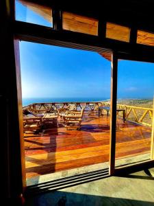 Un encuentro mágico con la naturaleza