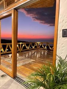 Un encuentro mágico con la naturaleza