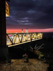 Un encuentro mágico con la naturaleza