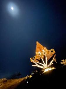 Un encuentro mágico con la naturaleza