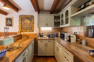 The Bird of Happiness - Happy Rentals