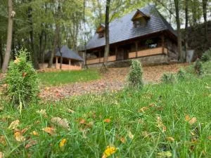 Căsuța de la vâltoare - Berbeşti