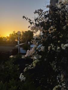 Casa Ina in El Roque, El Cotillo