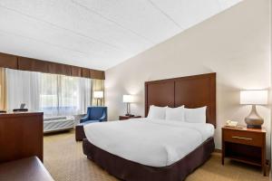 King Room - Non-Smoking room in Comfort Inn
