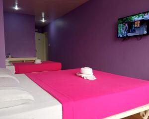 The Purple Tree Hostel